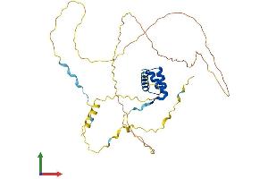 Protein Structure (PS) image for Gastrulation Brain Homeo Box 2 (GBX2) (AA 1-348) protein (His tag) (ABIN7547868)
