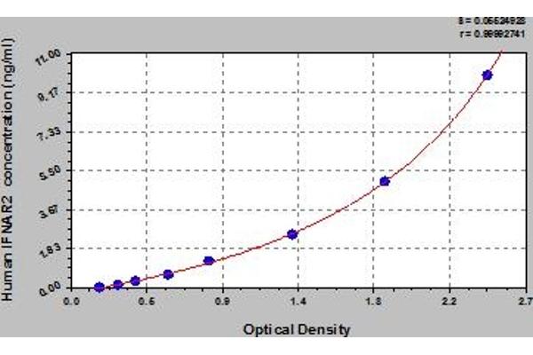 IFNAR2 ELISA Kit