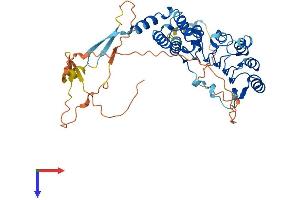 LRRC42 Protein (AA 1-428) (His tag)
