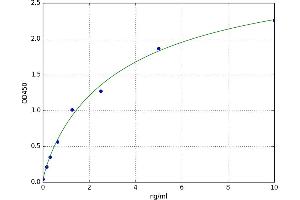 Taxilin alpha (TXLNA) ELISA Kit