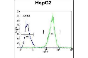 Flow cytometric analysis of HepG2 cells (right histogram) compared to a negative control cell (left histogram). (PPARD Antikörper  (C-Term))