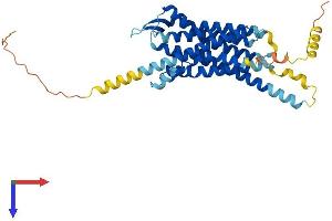 NPSR1 Protein (AA 1-371) (His tag)