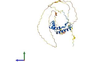 AlphaFold protein structure predicition of Mouse Recombinant Sox12 Protein, UniprotID Q04890