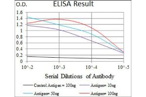 Red: Control Antigen (100ng) ; Purple: Antigen (10ng) ; Green: Antigen (50ng) ; Blue: Antigen (100ng). (BMPR1A Antikörper  (AA 179-378))