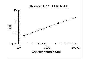 Tripeptidyl Peptidase I (TPP1) ELISA Kit