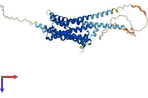 Serotonin Receptor 1A Protein (HTR1A) (AA 1-421) (His tag)