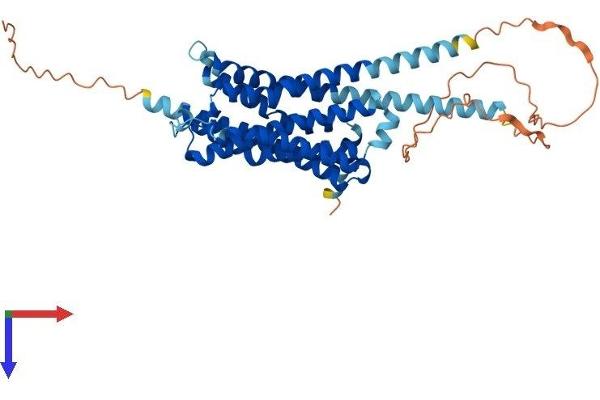Serotonin Receptor 1A Protein (HTR1A) (AA 1-421) (His tag)