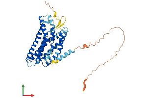 Protein Structure (PS) image for G Protein-Coupled Receptor 4 (GPR4) (AA 1-365) protein (His tag) (ABIN7558896)
