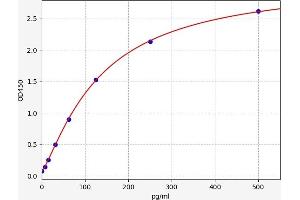 Ataxia Telangiectasia Mutated (ATM) ELISA Kit