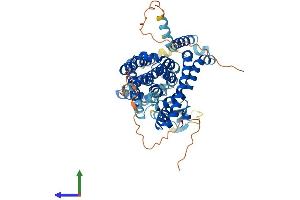 Protein Structure (PS) image for Solute Carrier Family 1 Member 5 (SLC1A5) (AA 1-553) protein (His tag) (ABIN7563405)