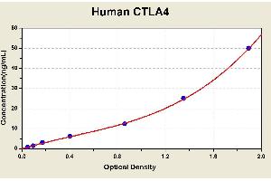 Cytotoxic T-Lymphocyte-Associated Protein 4 (CTLA4) ELISA Kit