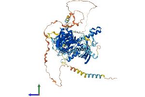 Protein Structure (PS) image for Chondroitin Sulfate Synthase 3 (CHSY3) (AA 1-884) protein (His tag) (ABIN7563803)