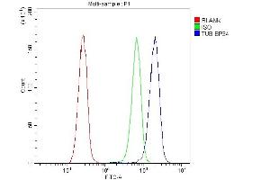 Flow Cytometry analysis of HeLa cells using anti-TUB 1 antibody (ABIN5518797).