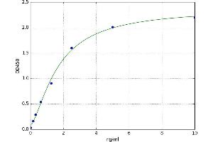 Nitric Oxide Synthase 1, Neuronal (NOS1) ELISA Kit