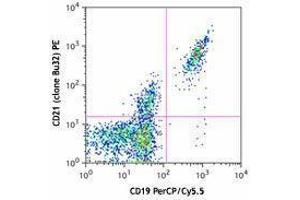 Flow Cytometry (FACS) image for anti-Complement Component (3d/Epstein Barr Virus) Receptor 2 (CR2) antibody (PE) (ABIN2662538) (CD21 Antikörper  (PE))