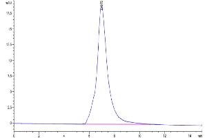 Size-exclusion chromatography-High Pressure Liquid Chromatography (SEC-HPLC) image for Interleukin 1 Receptor-Like 2 (IL1RL2) (AA 20-335) protein (His-Avi Tag,Biotin) (ABIN7274903)