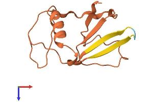 AlphaFold protein structure predicition of Human Recombinant LINC01619 Protein, UniprotID G3V211
