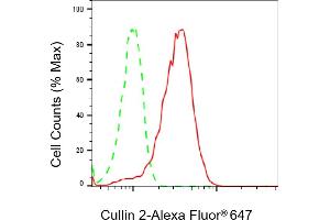 Flow cytometric analysis of Cullin 2 expression in HepG2 cells using Cullin 2 antibody (ABIN7798177), 1:2,000). (Rekombinanter Cullin 2 Antikörper)