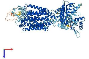 PTCHD1 Protein (AA 1-888) (His tag)