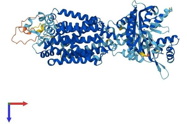 PTCHD1 Protein (AA 1-888) (His tag)