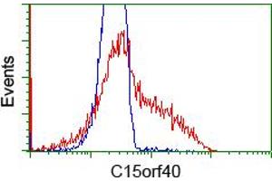 HEK293T cells transfected with either RC205773 overexpress plasmid (Red) or empty vector control plasmid (Blue) were immunostained by anti-C15orf40 antibody (ABIN2452852), and then analyzed by flow cytometry. (C15orf40 Antikörper)
