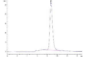Size-exclusion chromatography-High Pressure Liquid Chromatography (SEC-HPLC) image for Fc Receptor, IgG, High Affinity I (FCGR1) (AA 16-288) protein (His-Avi Tag,Biotin) (ABIN7274673)