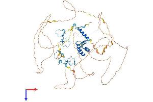 ZC3H14 Protein (AA 1-736) (His tag)