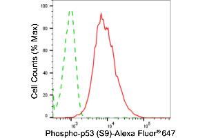 Flow cytometric analysis of phospho-p53 (S9) expression in HeLa cells using phospho-p53 (S9) antibody (ABIN7800684), 1:2,000).