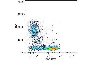 Surface staining of human peripheral blood cells with anti-human CD6 (MEM-98) FITC. (CD6 Antikörper  (PE))