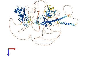 Chromosome 11open Reading Frame 9 (C11orf9) (AA 1-1151) protein (His tag)