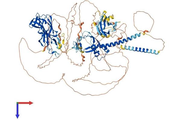 Chromosome 11open Reading Frame 9 (C11orf9) (AA 1-1151) protein (His tag)