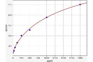 BRD4 ELISA Kit