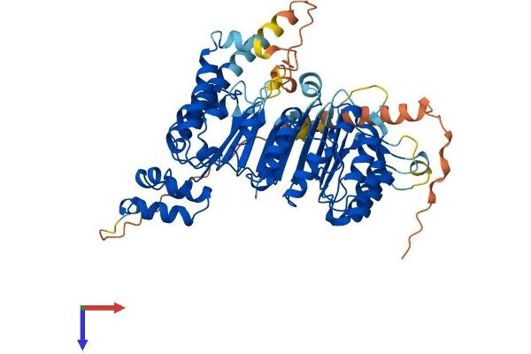 FBXO33 Protein (AA 1-555) (His tag)