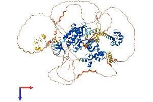 TNK2 Protein (AA 1-1055) (His tag)