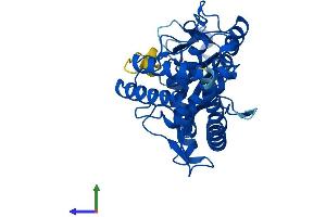 Protein Structure (PS) image for Mab-21-Like 2 (MAB21L2) (AA 1-359) protein (His tag) (ABIN7558804)