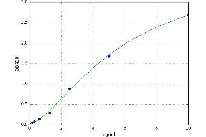 S100 Calcium Binding Protein A1 (S100A1) ELISA Kit