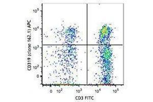 Flow Cytometry (FACS) image for anti-SLAM Family Member 7 (SLAMF7) antibody (APC) (ABIN2658188) (SLAMF7 Antikörper  (APC))