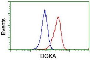 Flow Cytometry (FACS) image for anti-Diacylglycerol Kinase, alpha 80kDa (DGKA) antibody (ABIN1497815) (DGKA Antikörper)