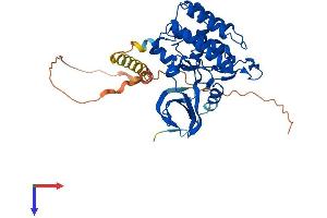 CK1 epsilon Protein (AA 1-416) (His tag)
