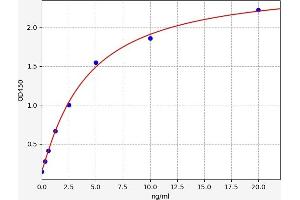 PRR4 ELISA Kit