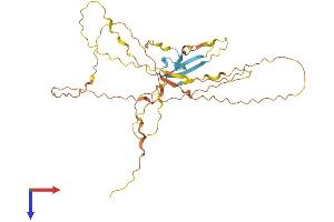 Protein Structure (PS) image for Keratin Associated Protein 29-1 (KRTAP29-1) (AA 1-342) protein (His tag) (ABIN7561865)