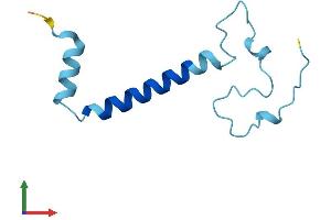 AlphaFold protein structure predicition of Mouse Recombinant Ndufa4l2 Protein, UniprotID Q4FZG9 (NDUFA4L2 Protein (AA 1-87) (Fc Tag))