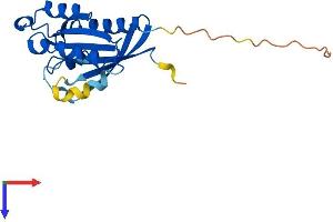 RAB10 Protein (AA 1-200) (His tag)