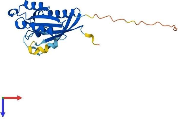 RAB10 Protein (AA 1-200) (His tag)