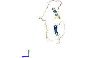 Protein Structure (PS) image for Akirin 2 (AKIRIN2) (AA 1-203) protein (His tag) (ABIN7552109)