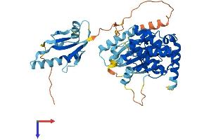 MAP2K5 Protein (AA 1-448) (His tag)
