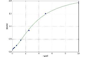 Coactosin-Like Protein ELISA Kit