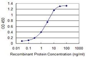 Detection limit for recombinant GST tagged ARL2BP is 0. (ARL2BP Antikörper  (AA 1-163))