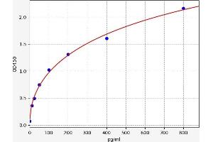 PDGFD ELISA Kit