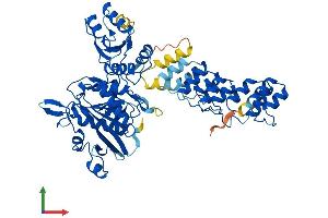 Protein Structure (PS) image for Asparaginase Homolog (ASPG) (AA 1-564) protein (His tag) (ABIN7561848)